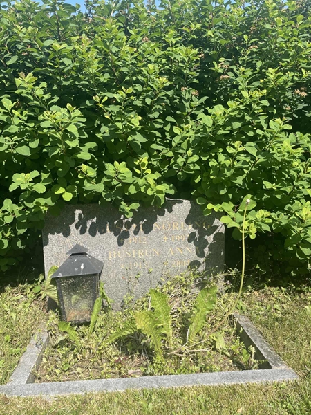 Hautatunnus: 1 C1    83-84