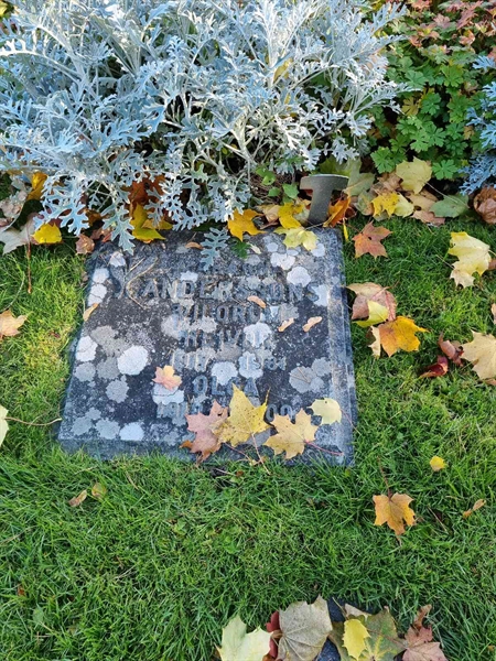 Grave number: 1 02  236