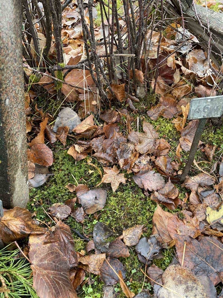 Gravnummer: GK A 3   463