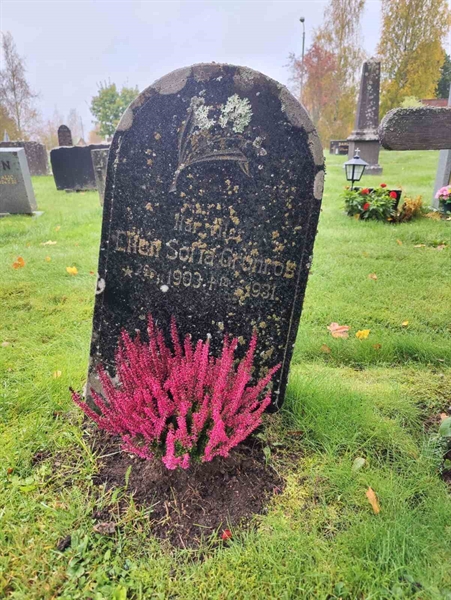 Grave number: 1 GB1 07     66