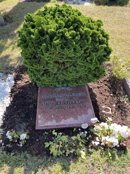 Grave number: NK X:u    87