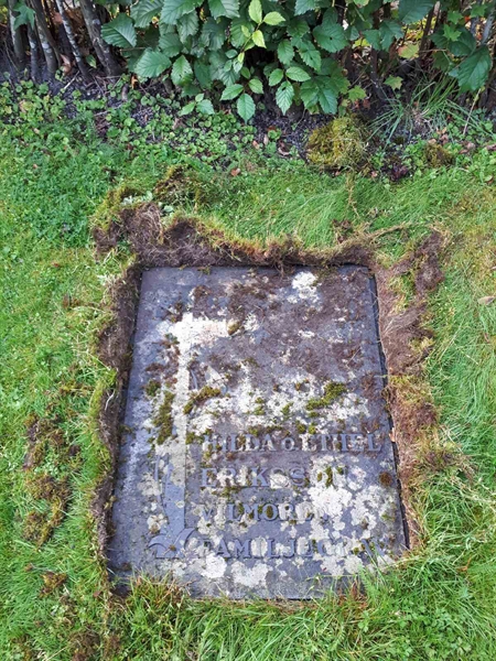 Hautatunnus: NK F G    49