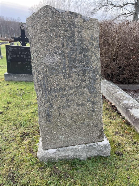 Hautatunnus: Vårv Kv1 97