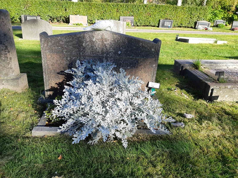 Grave number: Fr 7   244-245