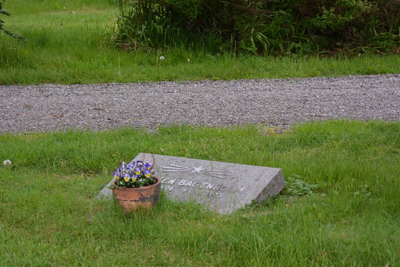 Grave number: SRN 2   223