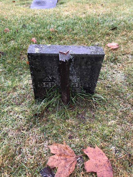 Grave number: 3 C   113