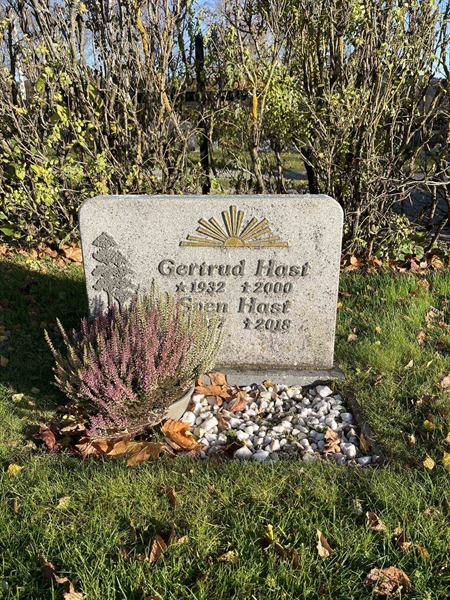 Gravnummer: 3084 J    65-66