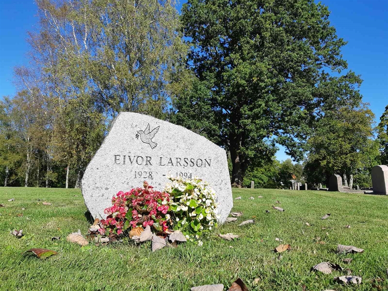 Hautatunnus: Fr 7   713