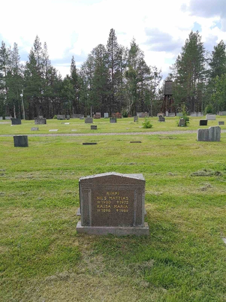 Hautatunnus: PK   206