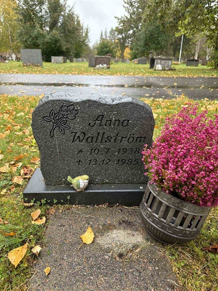 Hautatunnus: NK 13     5