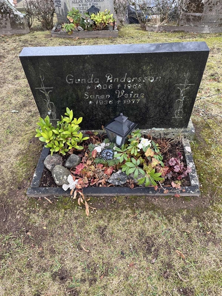 Hautatunnus: Vårv Kv4 245+246