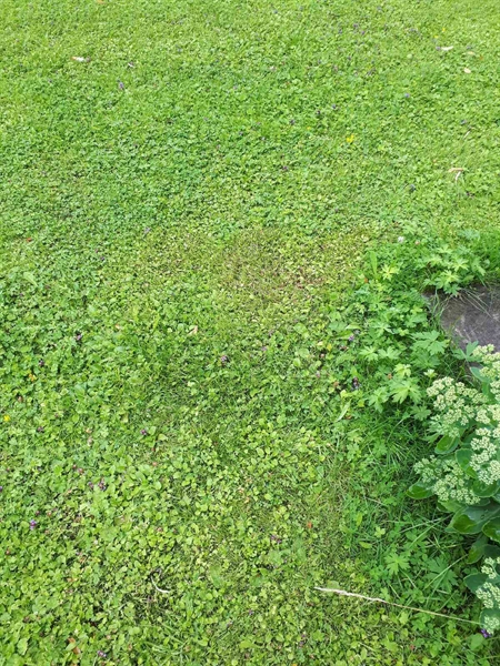 Gravnummer: GK A 4   132H