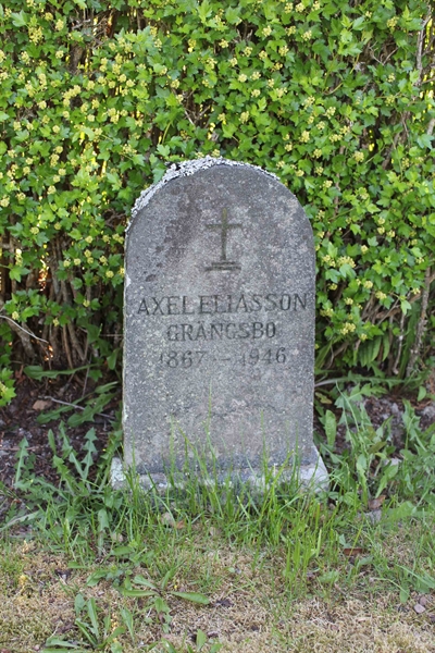 Grave number: A N  658