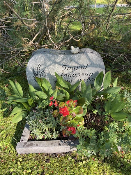Hautatunnus: 30ST HÄGG     9