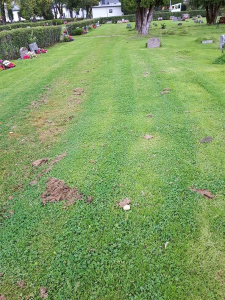 Gravnummer: NK A A     1