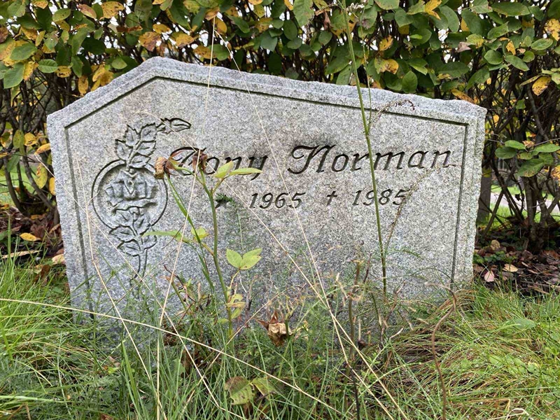 Hautatunnus: 1 21     U2