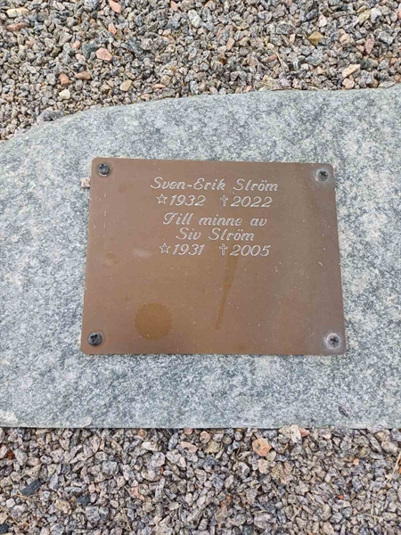 Grave number: SA MAGP3   44