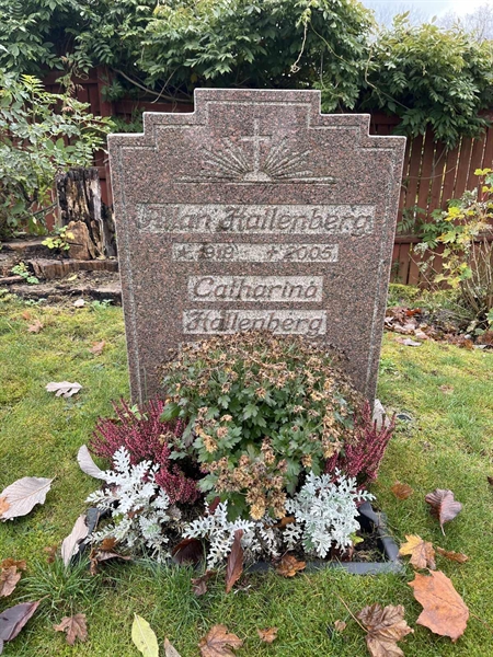 Hautatunnus: SR I    46