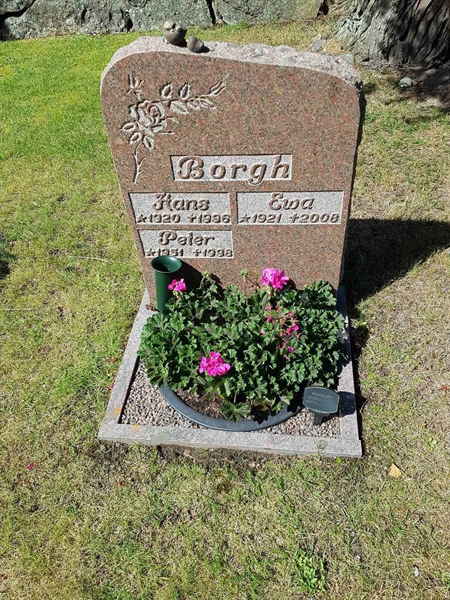 Grave number: 01  2234