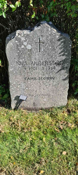 Grave number: M F    7, 8
