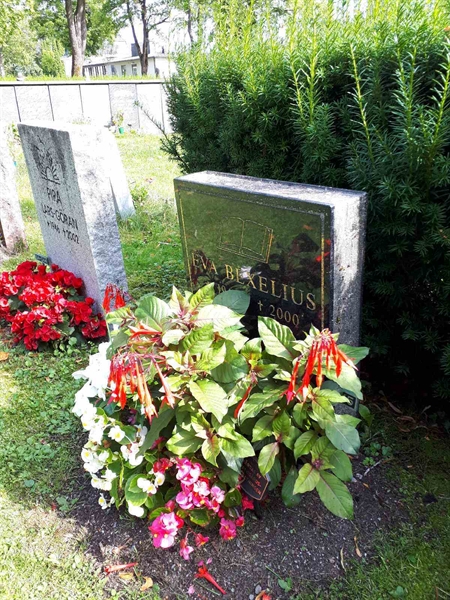 Gravnummer: GK U 4   245