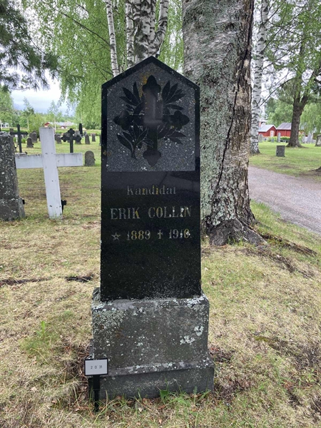 Grave number: 2 D    31