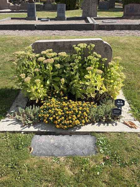 Grave number: 33 5   185-186