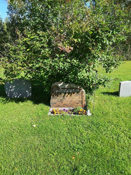 Hautatunnus: NK 19    42-43