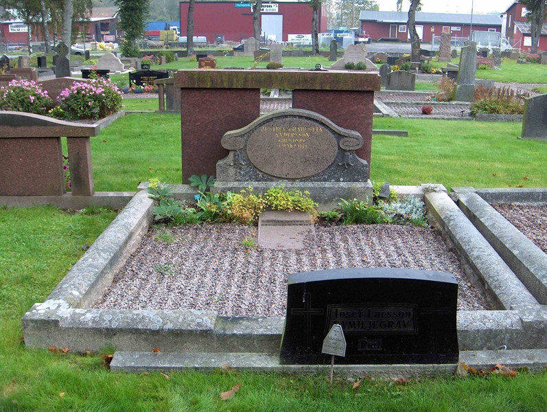 Grave number: Fr 2   113-115