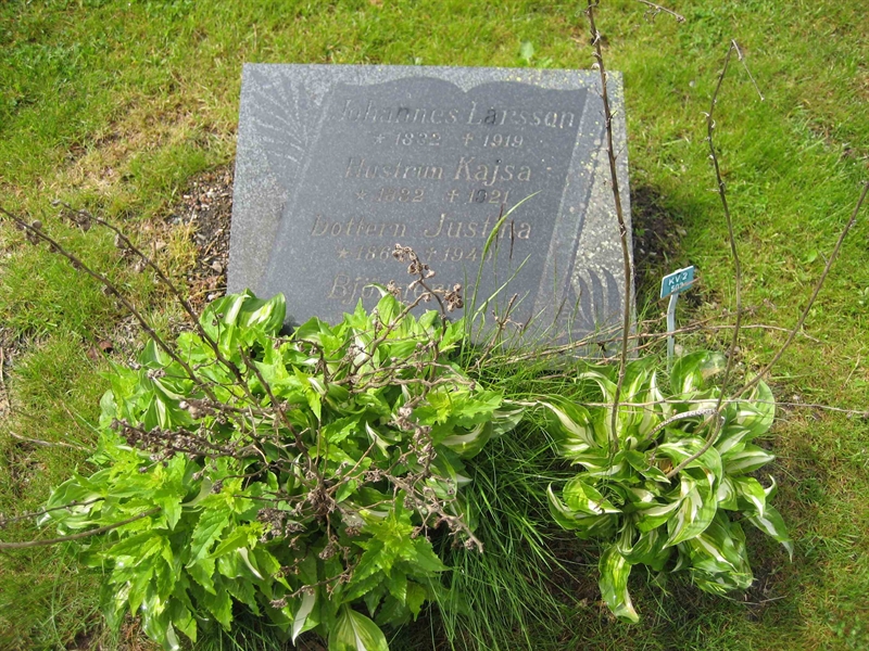 Grave number: Fr 2   502-503