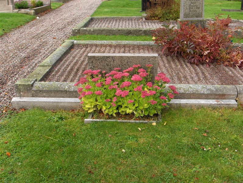 Grave number: Fr 2   192-193