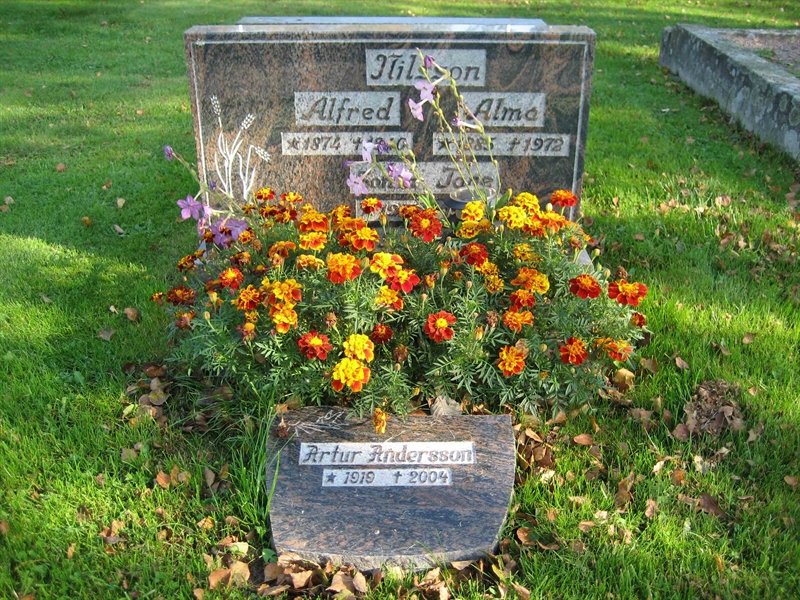 Grave number: Fr 6   241-242