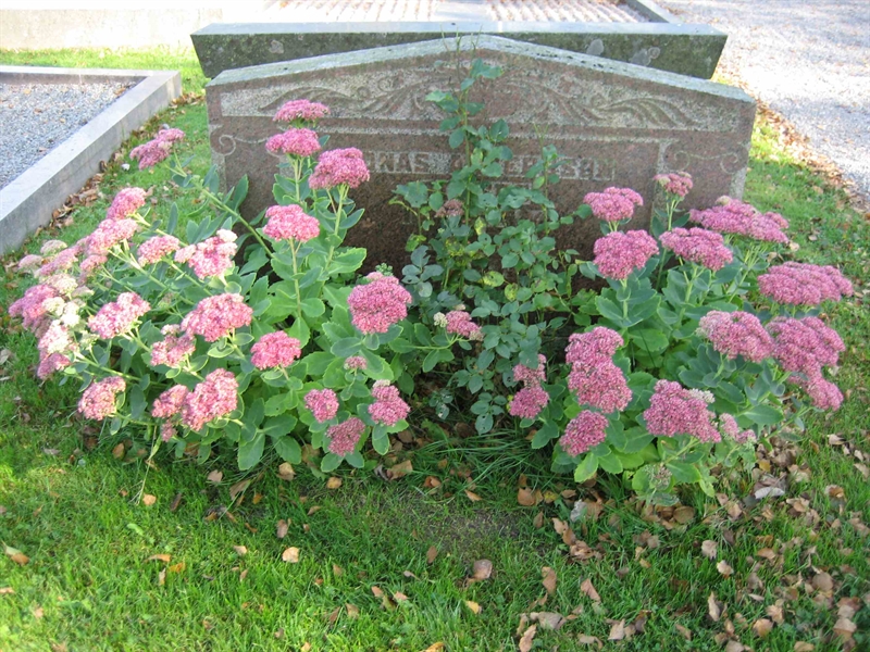 Grave number: Fr 6   283-284