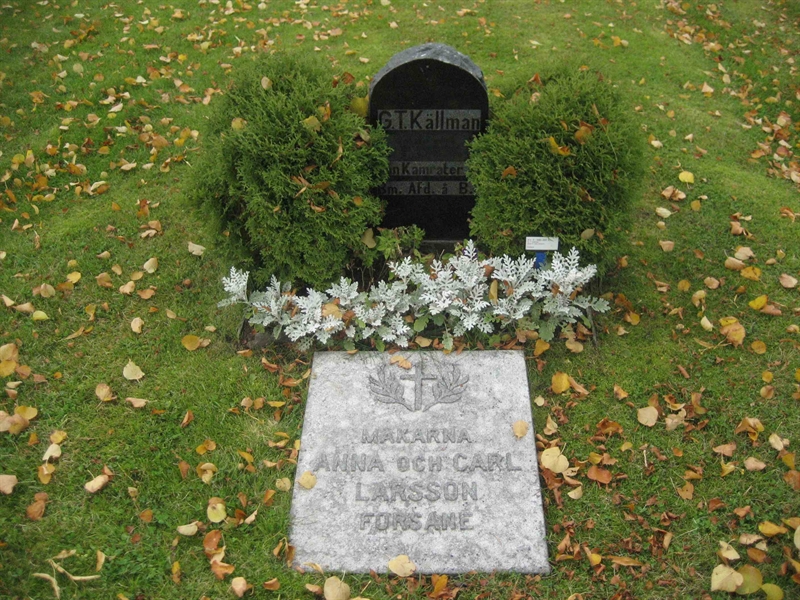 Grave number: Fr 5   595-597