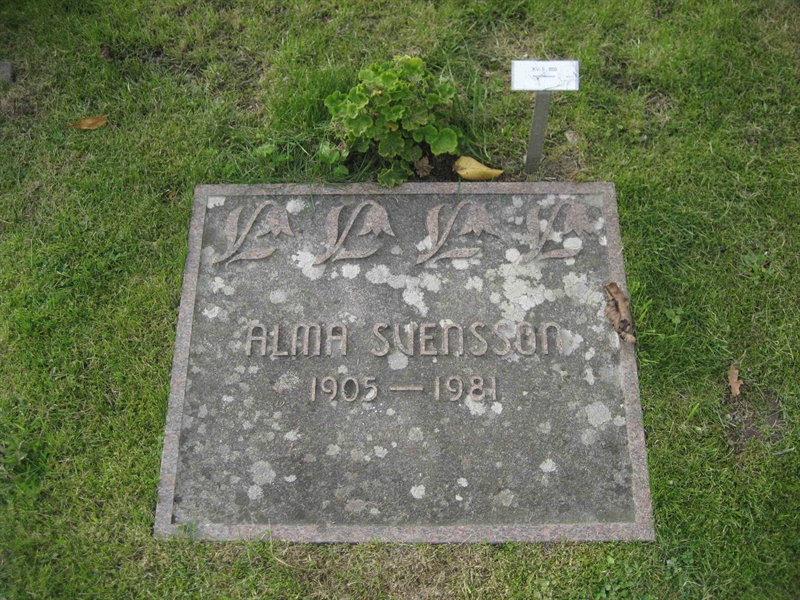 Grave number: Fr 5   859