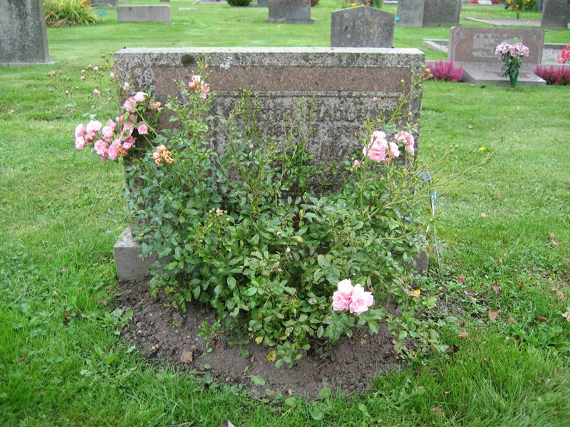 Grave number: Fr 6    55-56