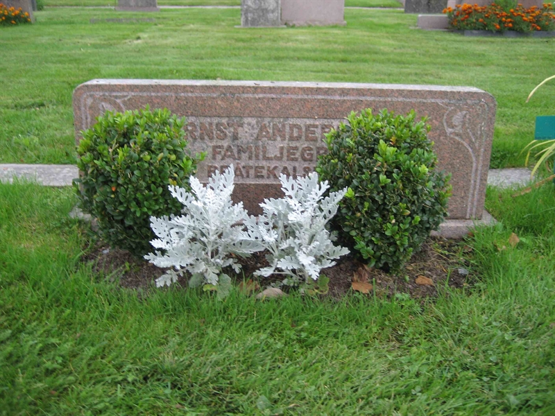 Grave number: Fr 6   131-132
