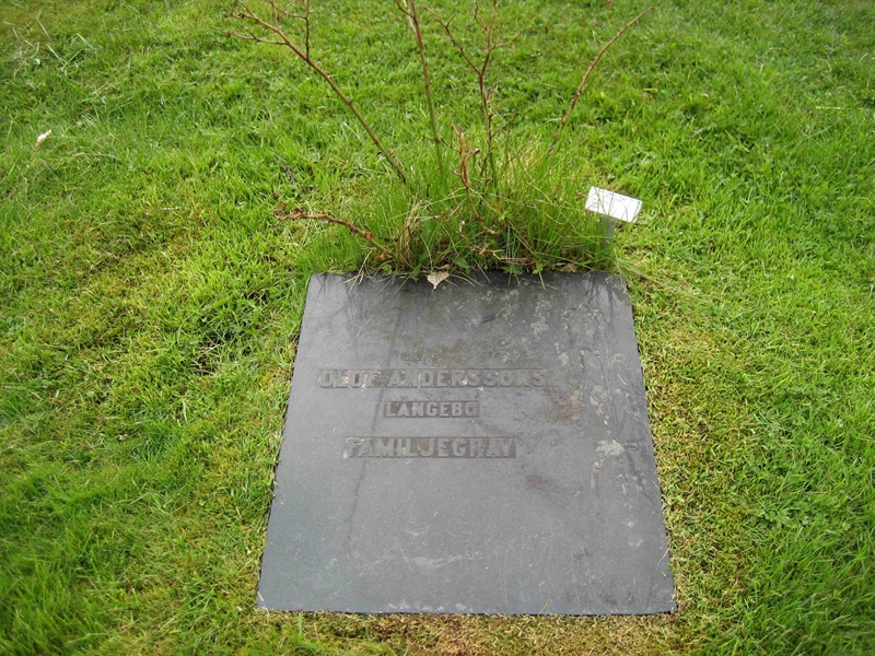 Grave number: Fr 1   115-116