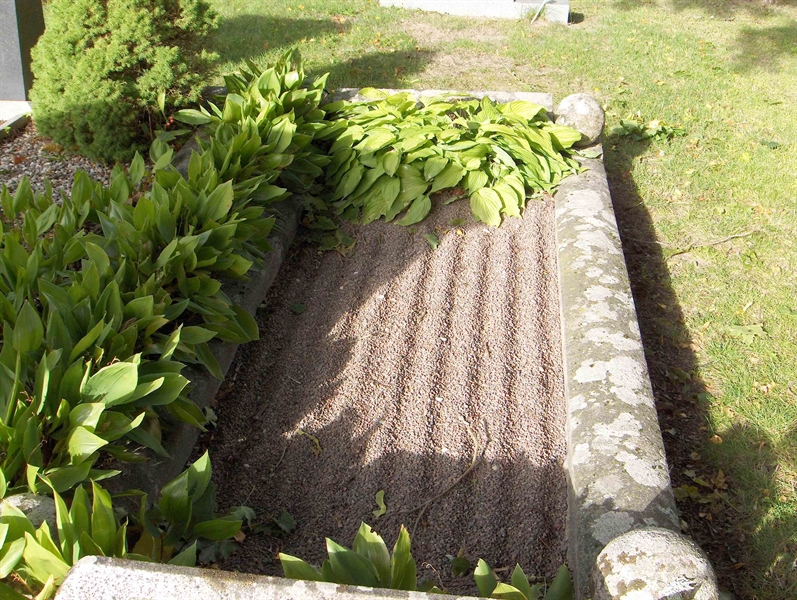 Grave number: Fr 3   122
