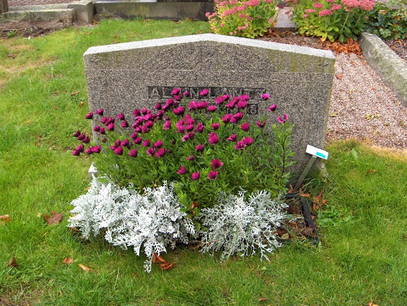 Grave number: Fr 2   202-203