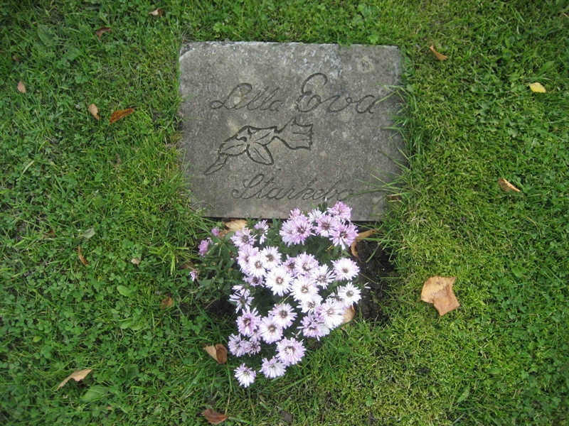 Grave number: Fr 5   845