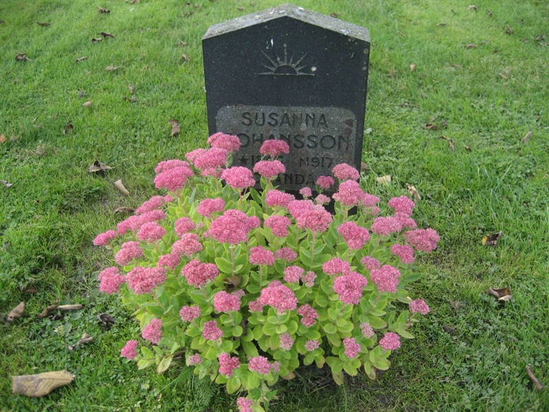 Grave number: Fr 5   198-199