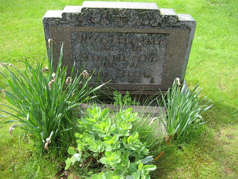 Grave number: Fr 2   504-505
