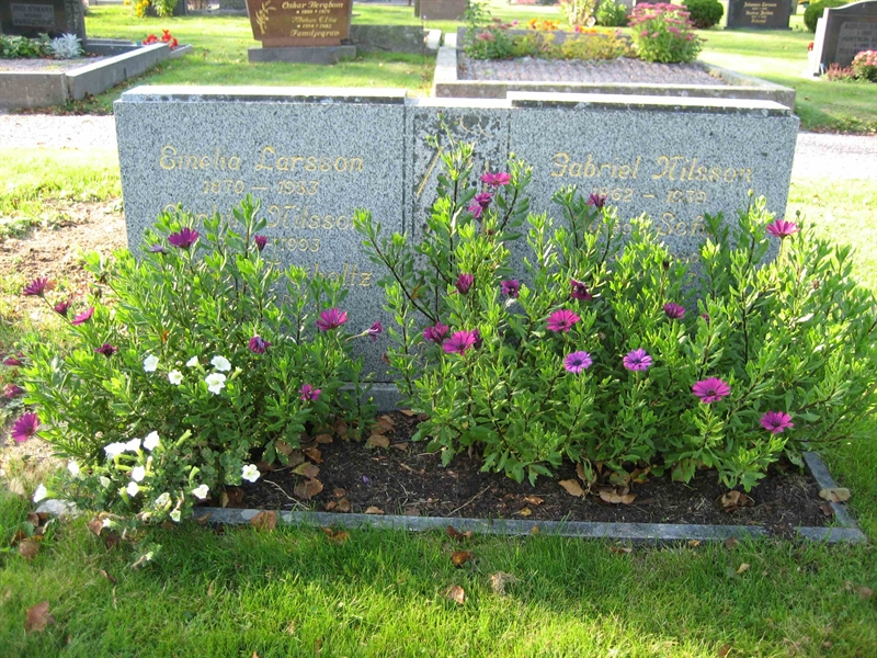 Grave number: Fr 6   257-260