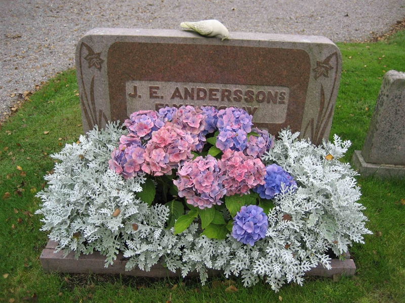 Grave number: Fr 6   101-102