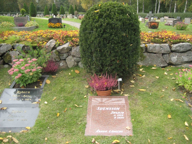 Grave number: Fr 5   870