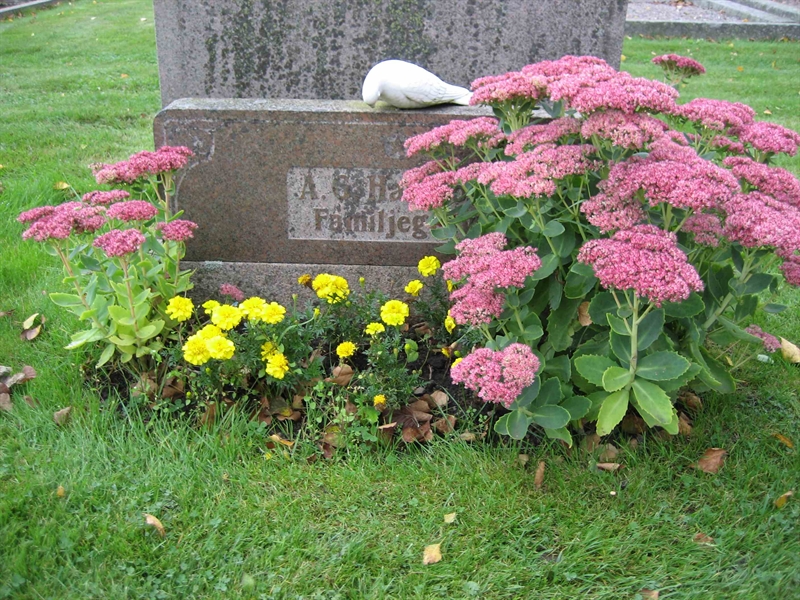 Grave number: Fr 6   155-156