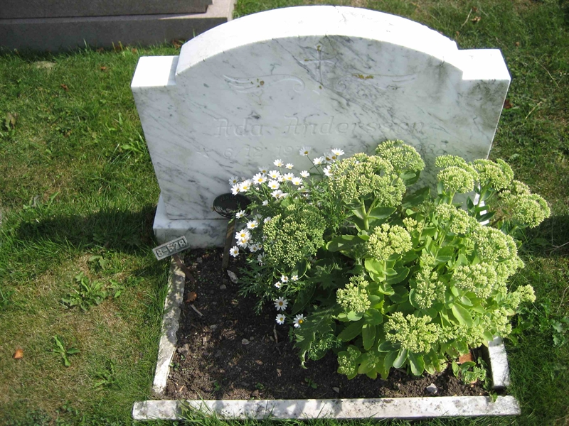 Grave number: Fr 8   528