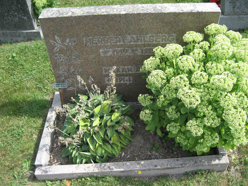 Grave number: Fr 8   448-449