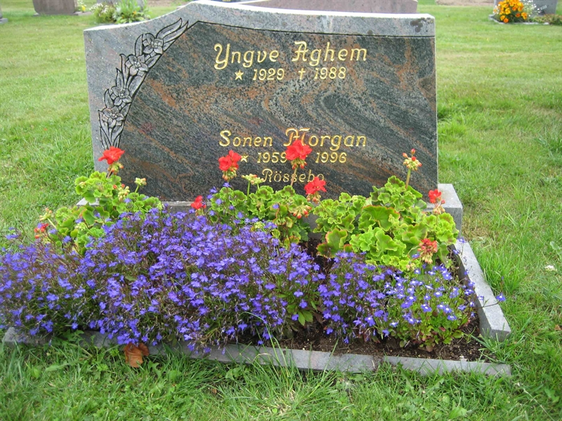 Grave number: Fr 8   315-316